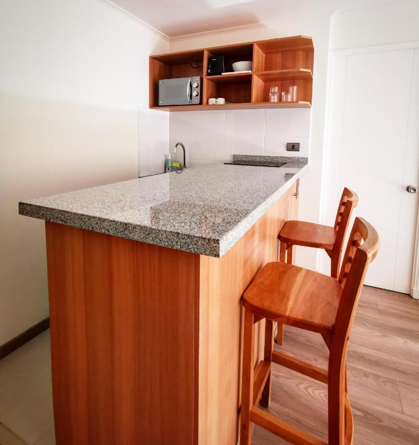 Apart Hotel Viva Providencia 圣地亚哥 外观 照片